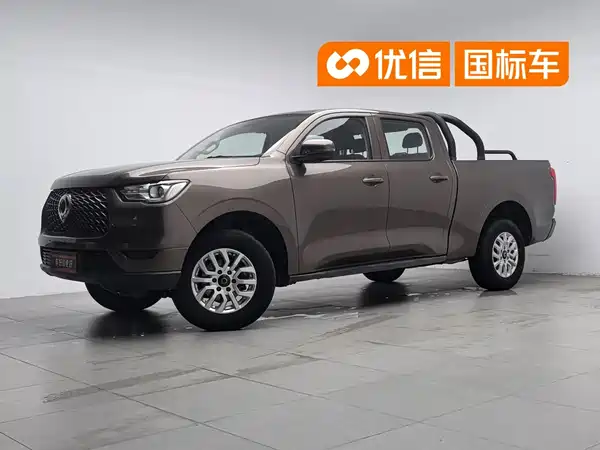 Great Wall Poer 2020
