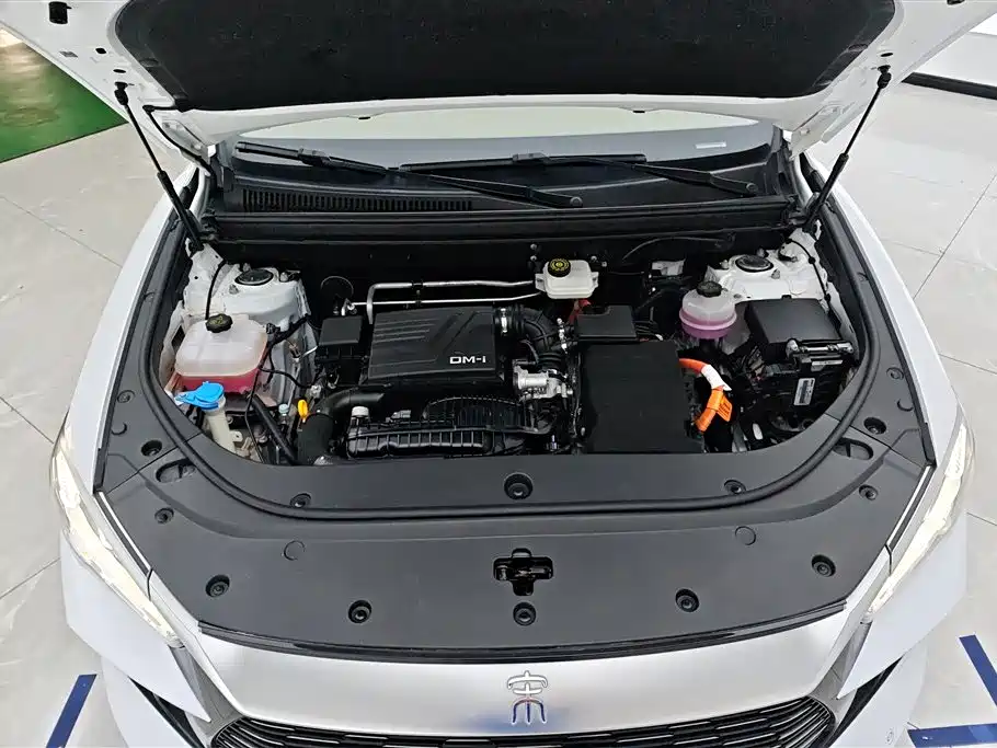 BYD Pro New Energy 2024 — фото 10