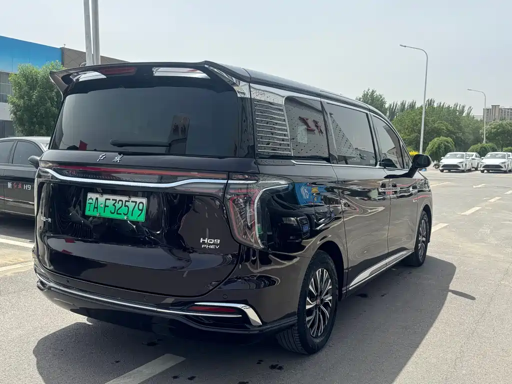 Hongqi HQ9 PHEV 2024 — фото 4