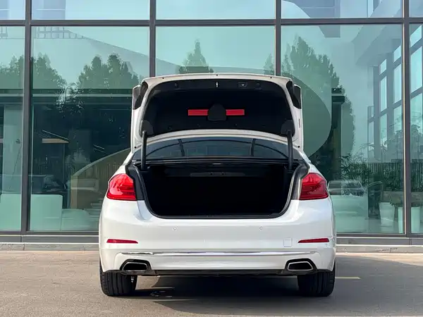 BMW 5 Series New Energy 2019