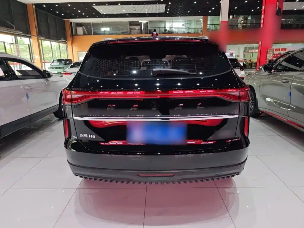 Haval H6 2023 — фото 12