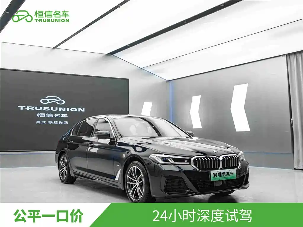BMW 5 Series New Energy 2021