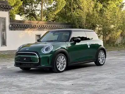 MINI MINI 2021