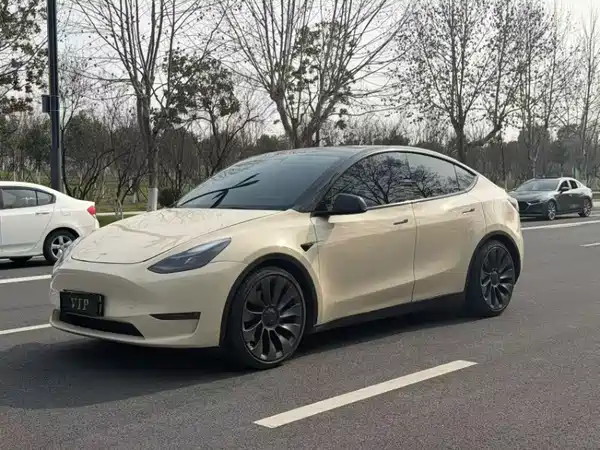 Tesla Model Y 2022