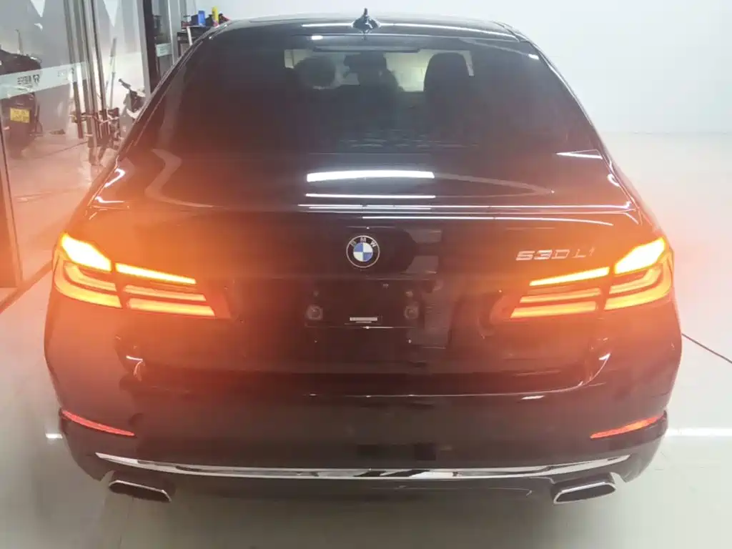 BMW 5 Series 2019