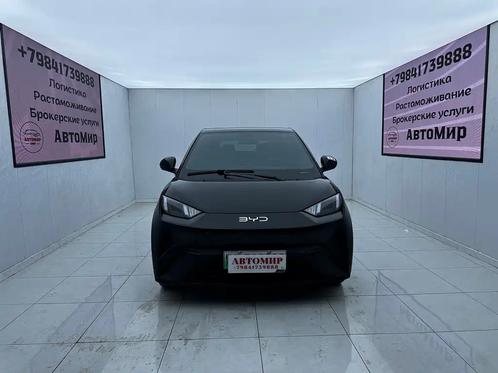 BYD Seagull 2024