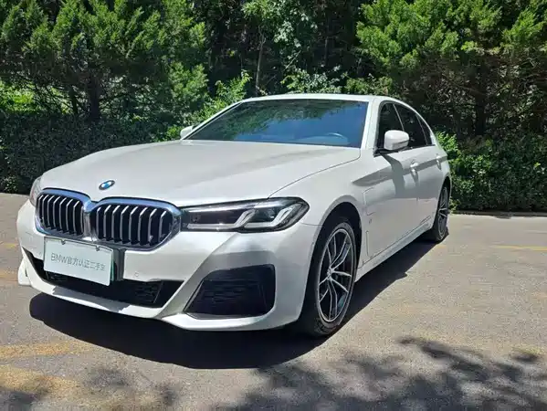 BMW 5 Series New Energy 2021
