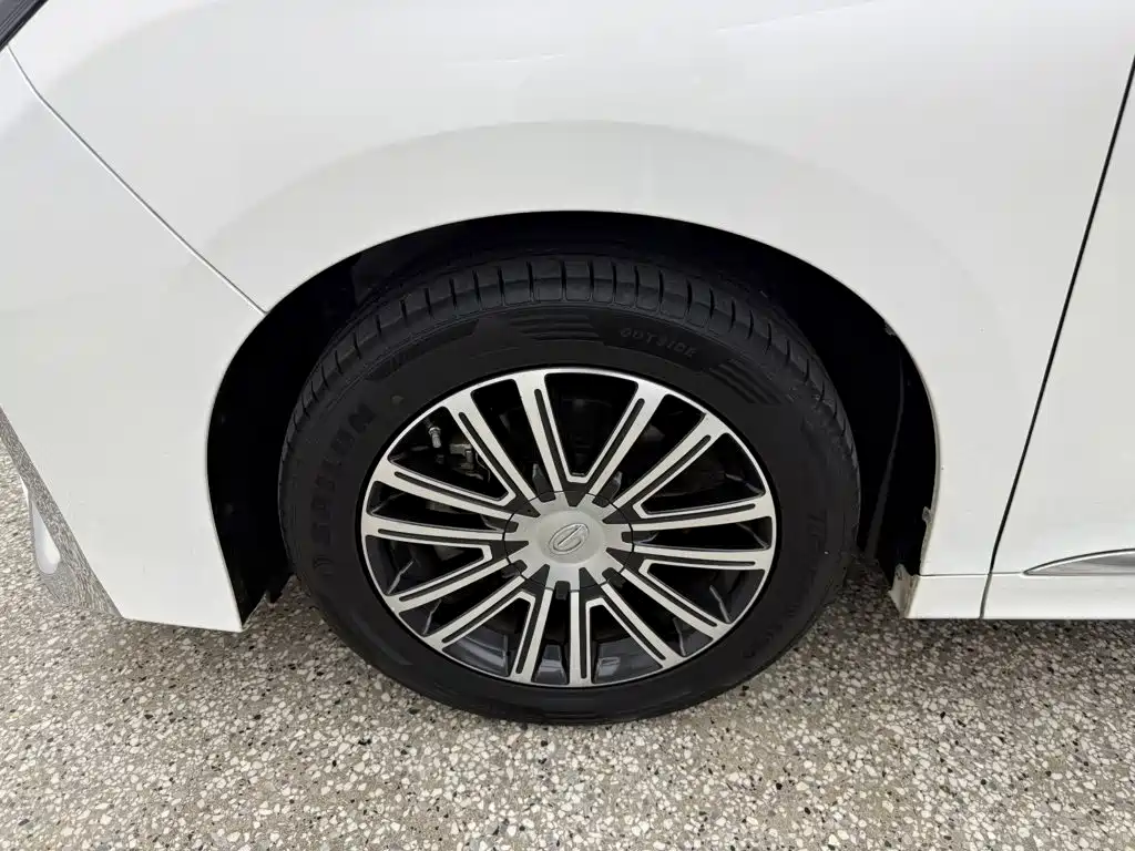 GAC Trumpchi M8 2022 — фото 12