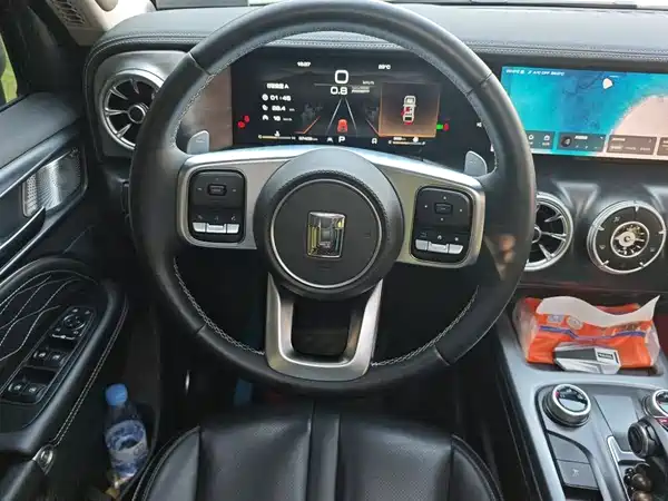 Tank 300 2021