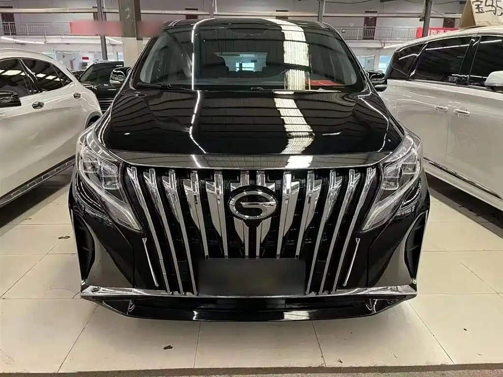 GAC Motor Trumpchi M8 2023 — фото 8