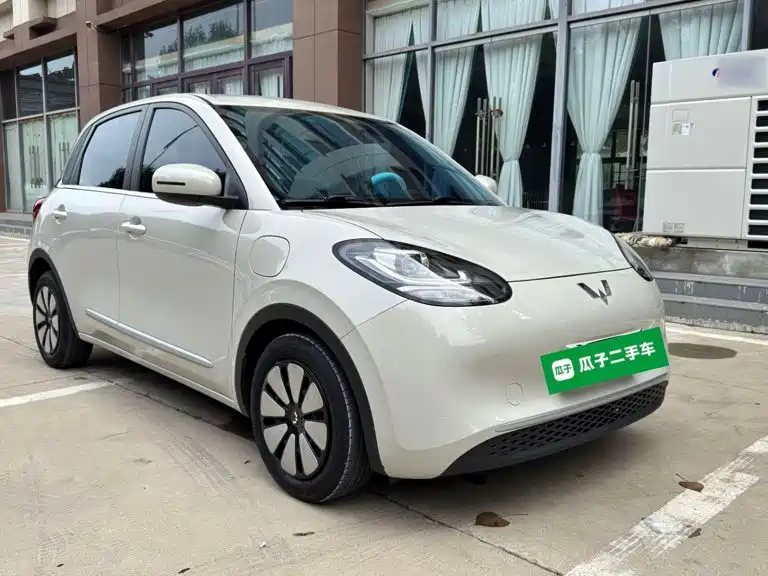 Wuling Bingo 2024