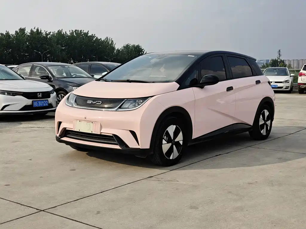 BYD Dolphin 2024