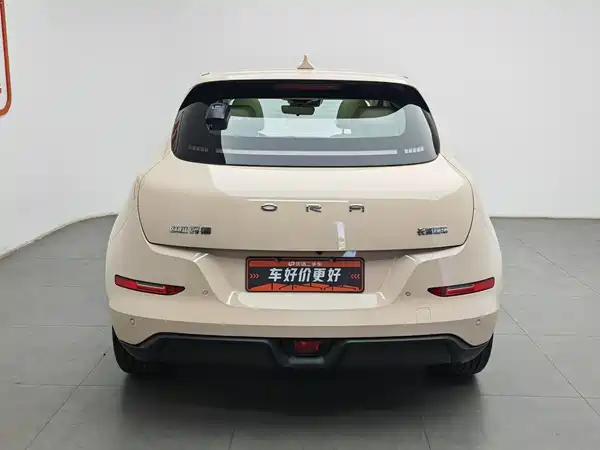 Ora Good Cat 2024