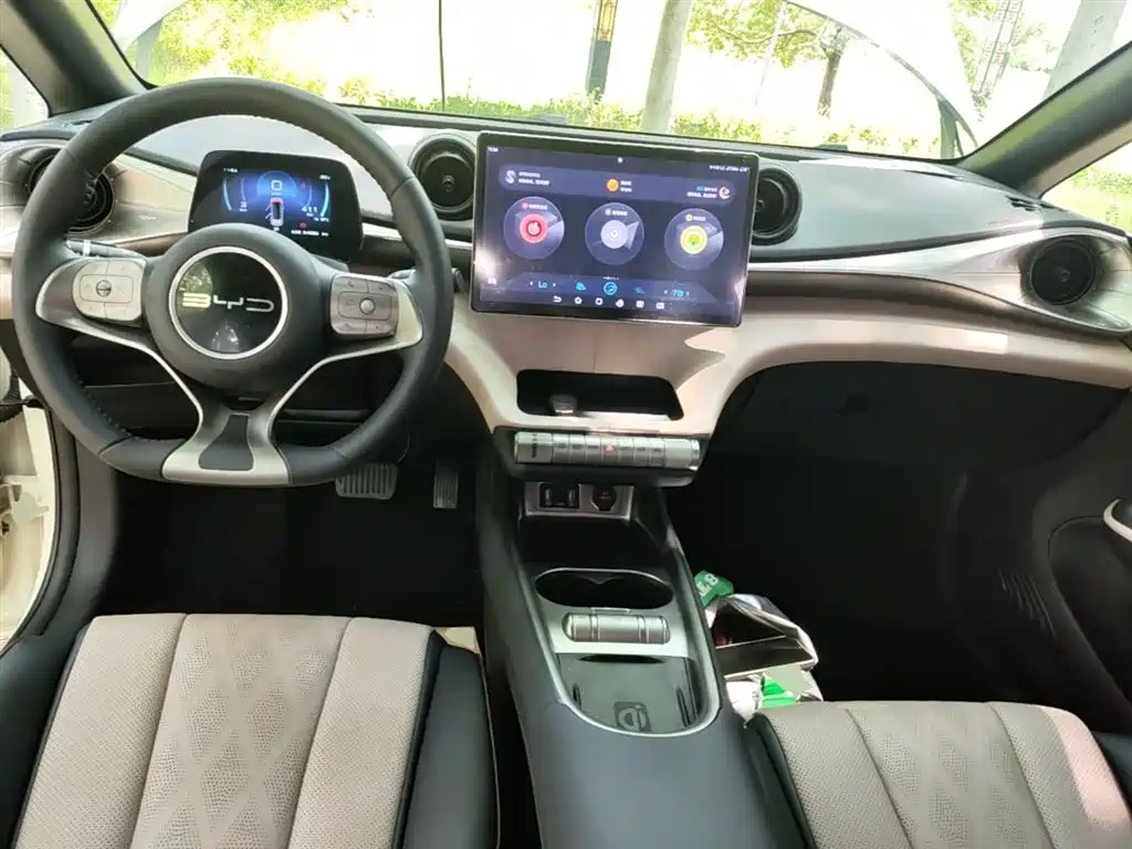 BYD Dolphin 2023 — фото 10
