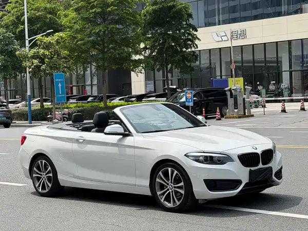 BMW 2 Series 2019