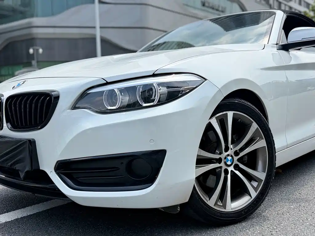 BMW 2 Series 2019 — фото 8