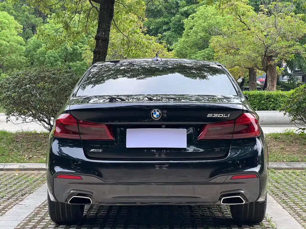 BMW 5 Series 2017 — фото 17