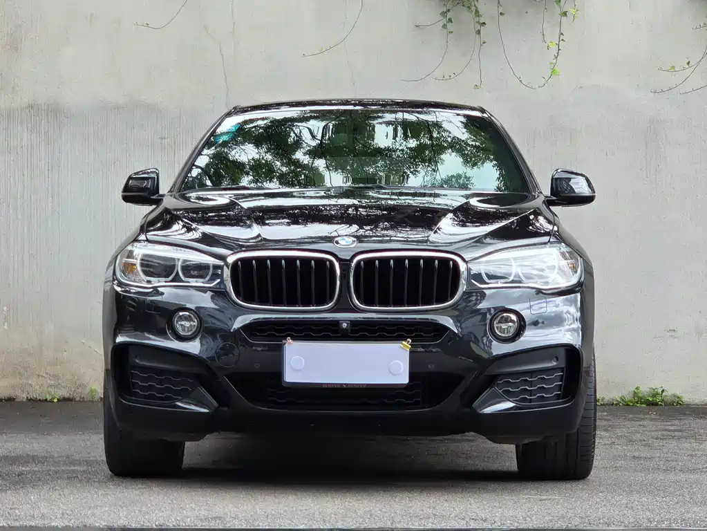 BMW X6 2018
