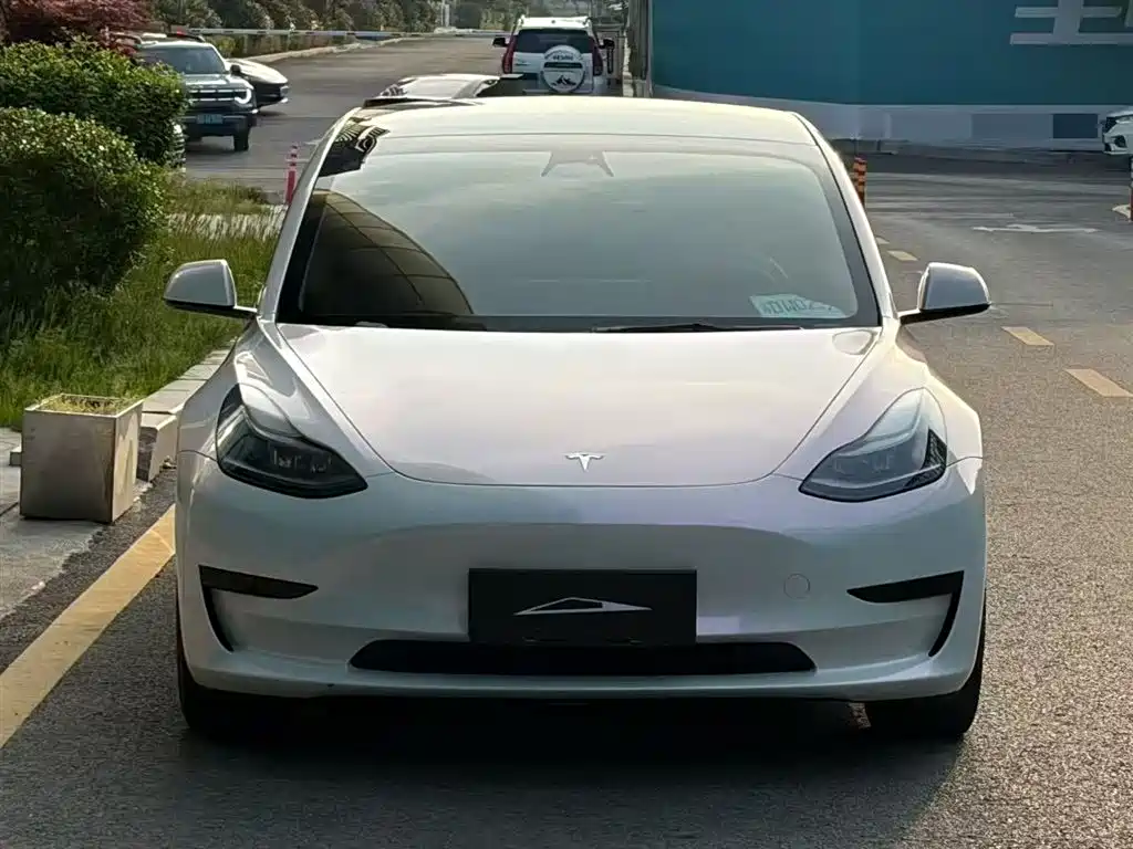 Tesla Model 3 2022 — фото 2