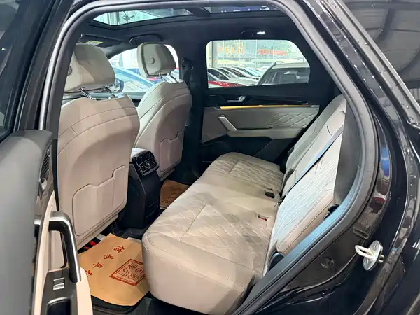 BYD Tang New Energy 2024