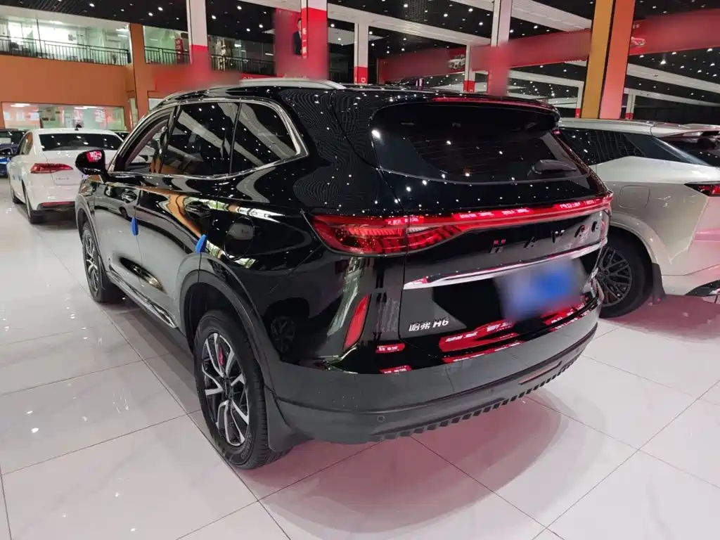 Haval H6 2023 — фото 13