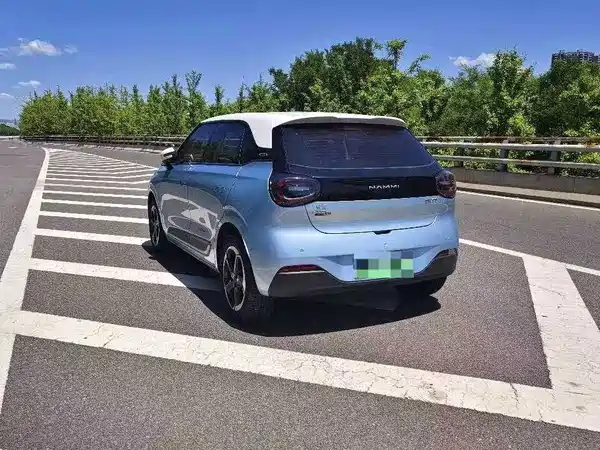 Dongfeng Nano 01 2024