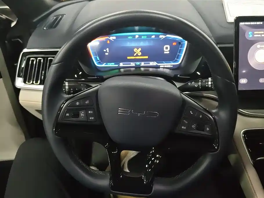 BYD PLUS New Energy 2023 — фото 15