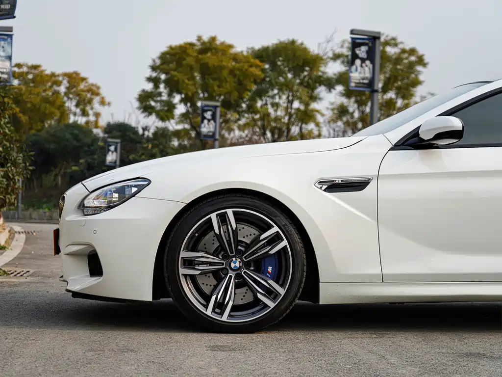 BMW M6 2015 — фото 9