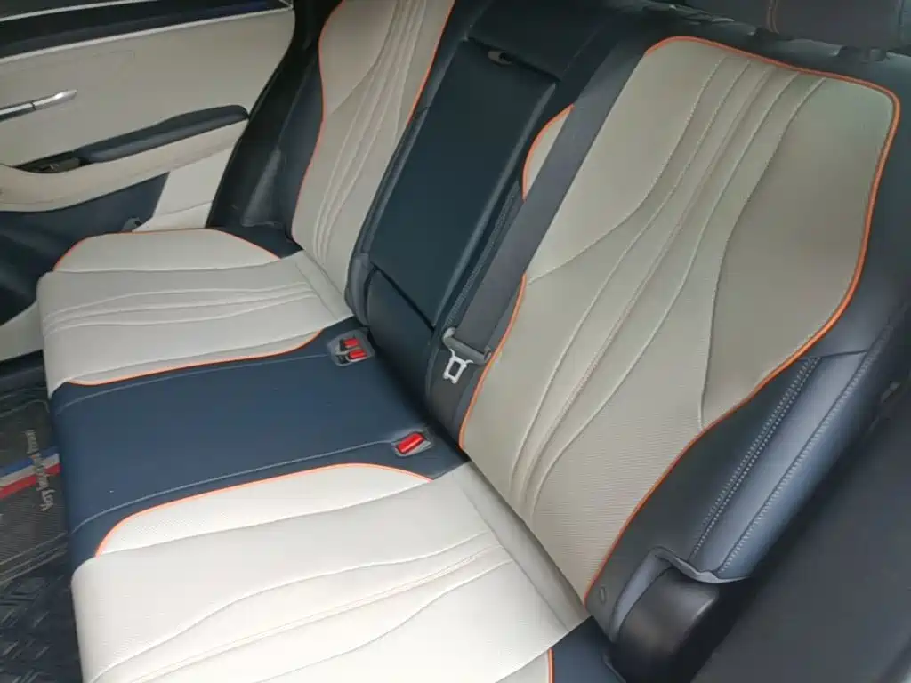 BYD PLUS New Energy 2023 — фото 17