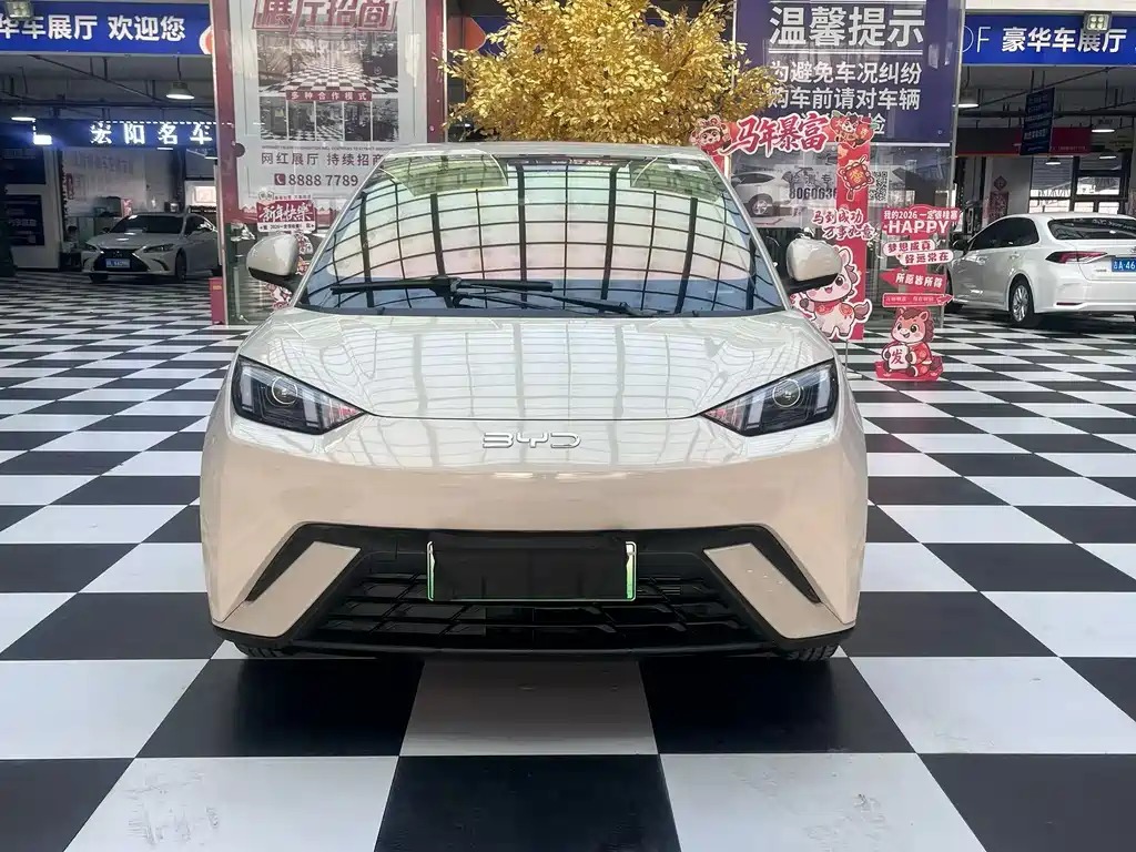 BYD Seagull 2025