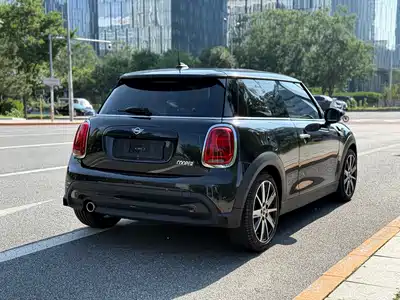MINI MINI 2024