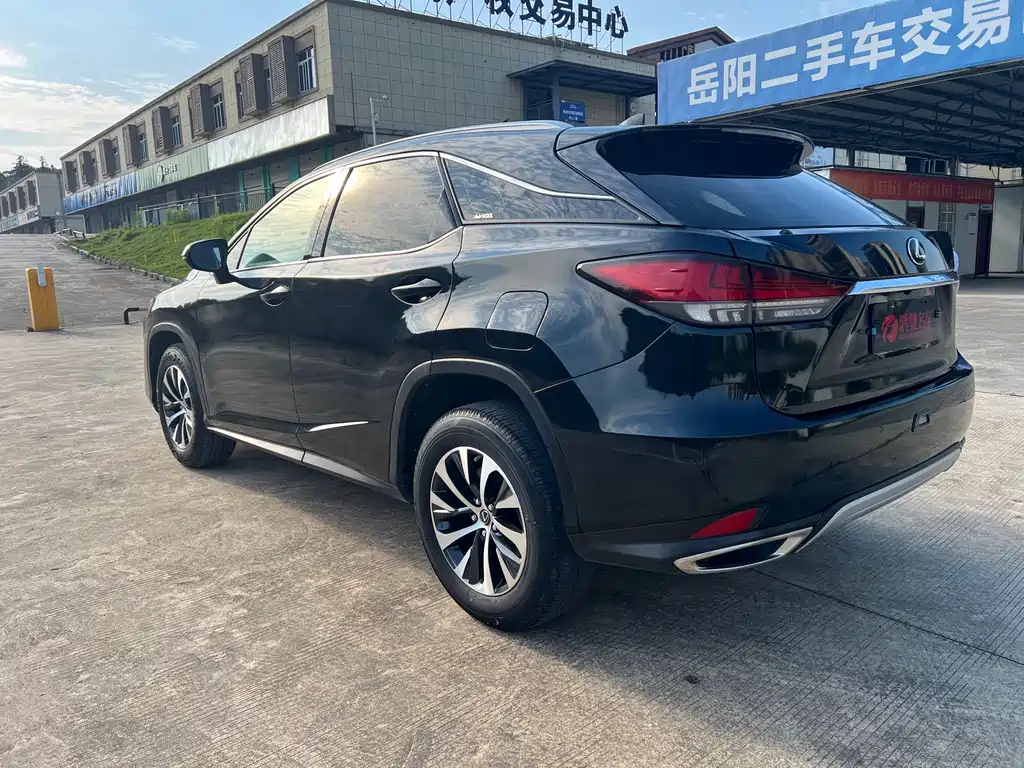 Lexus RX 2022 — фото 13