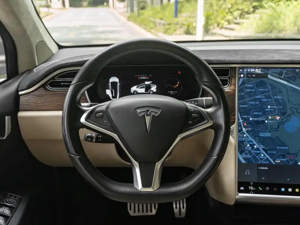 Tesla Model X 2017 — фото 10