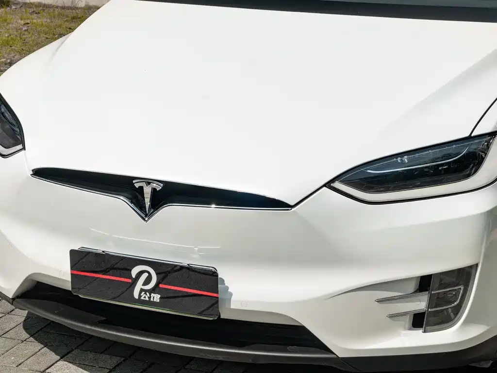 Tesla Model X 2017 — фото 8