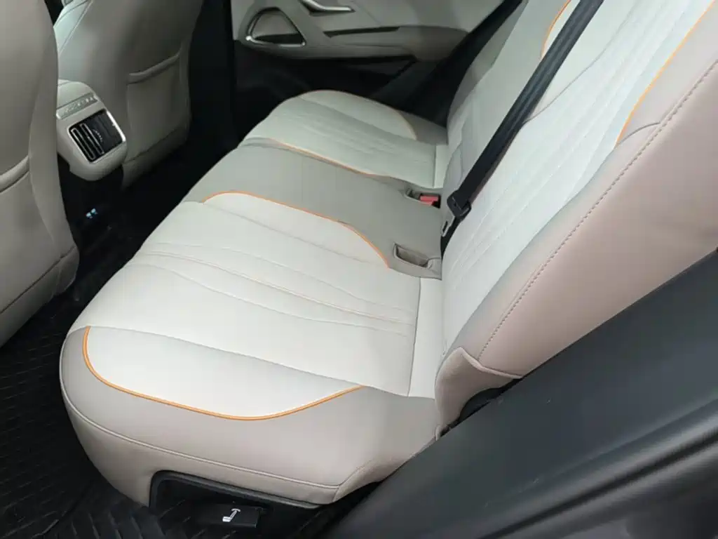 BYD Pro New Energy 2024 — фото 17