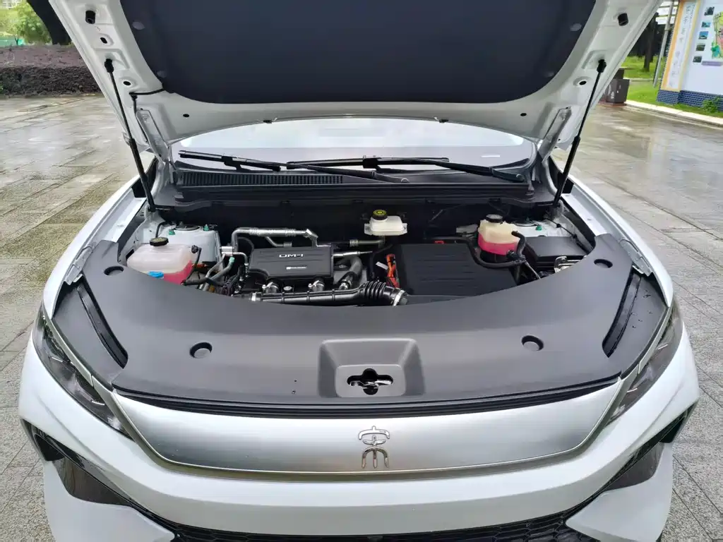 BYD Pro New Energy 2025 — фото 20
