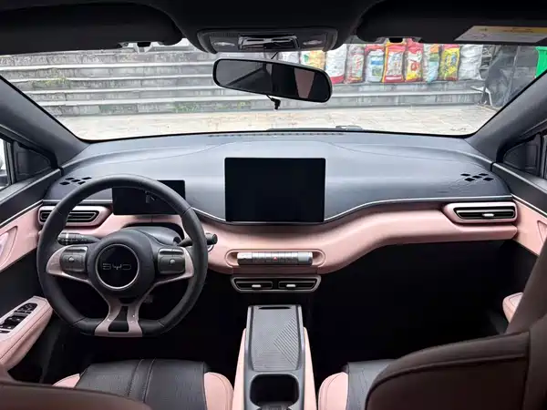 BYD Seagull 2024