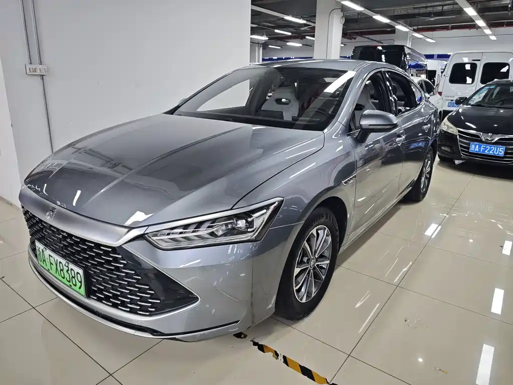 BYD Qin PLUS 2024