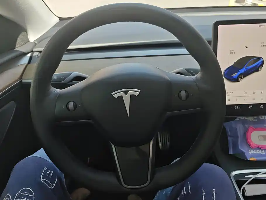 Tesla Model Y 2021 — фото 15