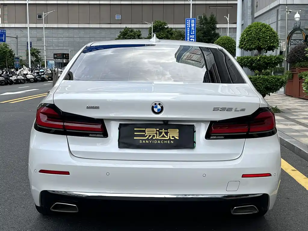 BMW 5 Series New Energy 2021