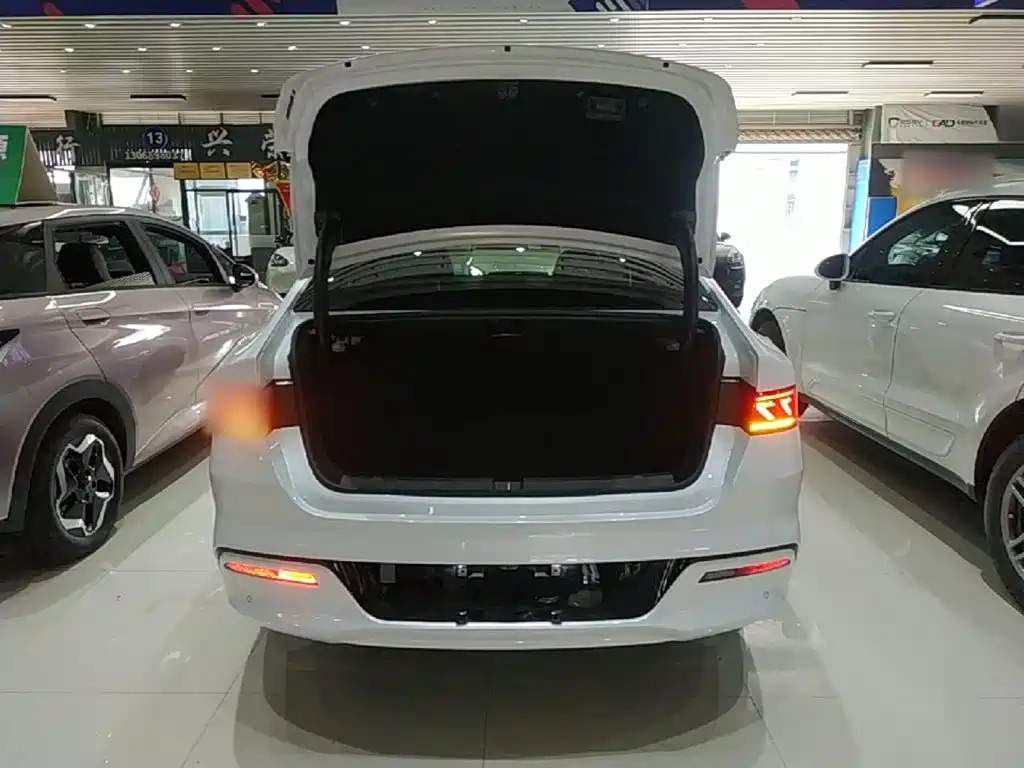 BYD Qin PLUS 2024 — фото 19