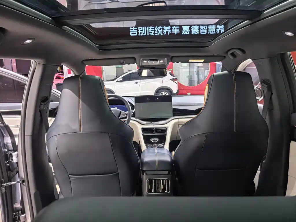 BYD PLUS New Energy 2023 — фото 10