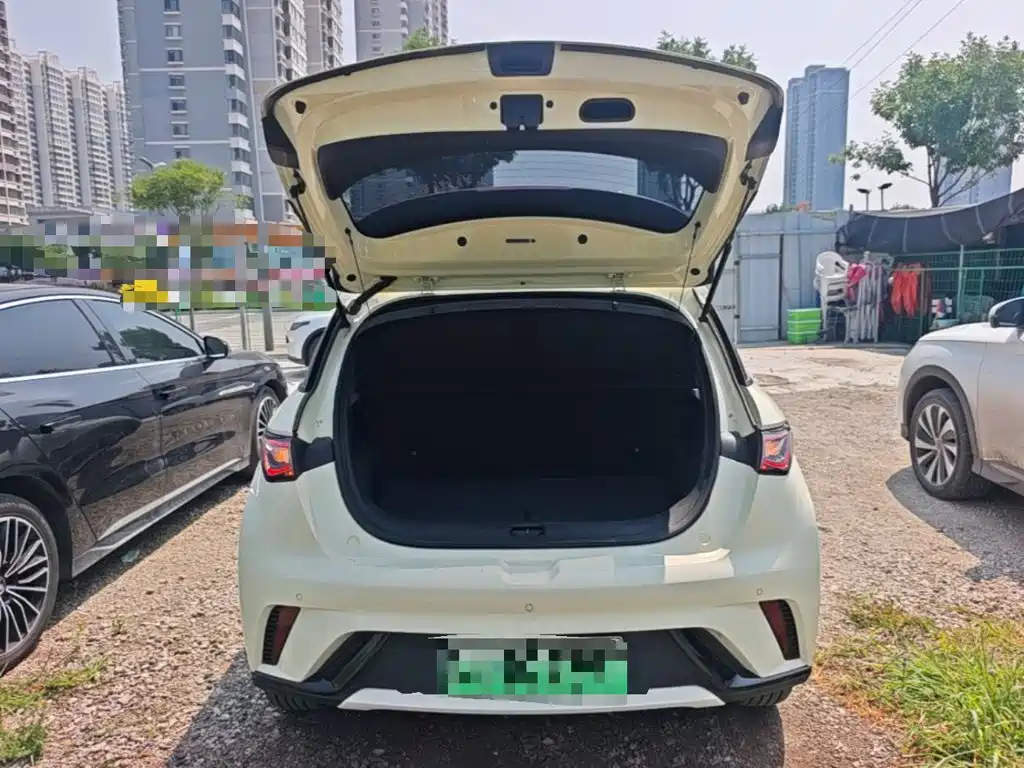 BYD Dolphin 2024 — фото 19