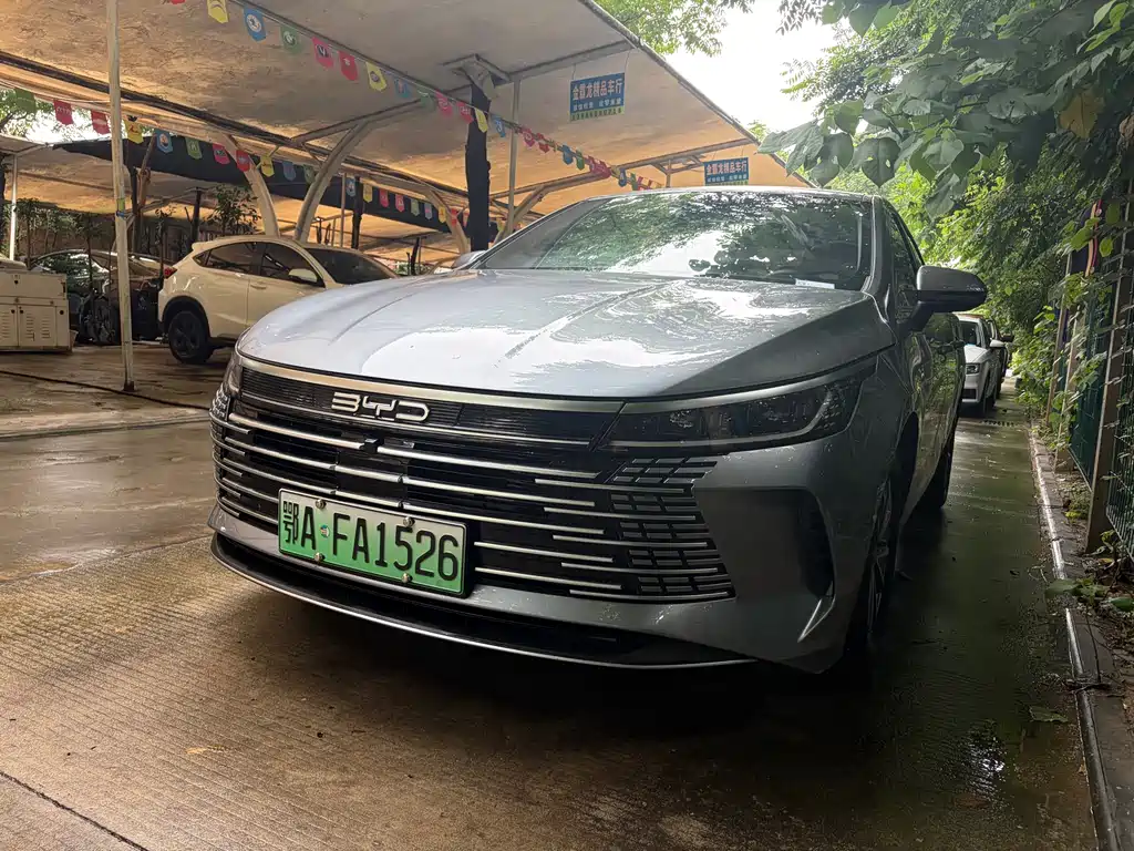 BYD Destroyer 05 2024