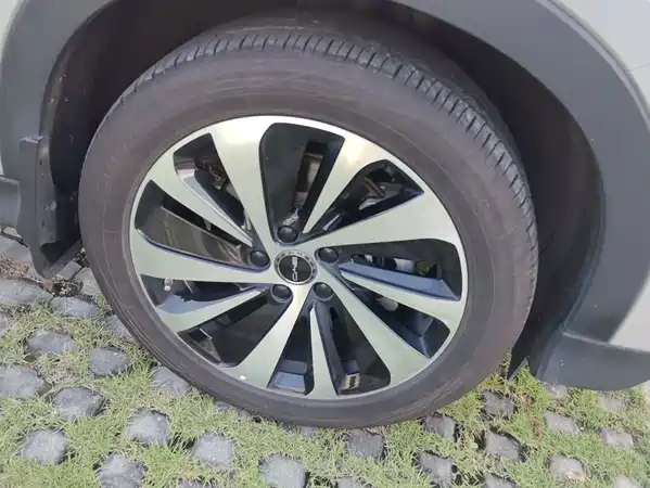 BYD Song PLUS New Energy 2024