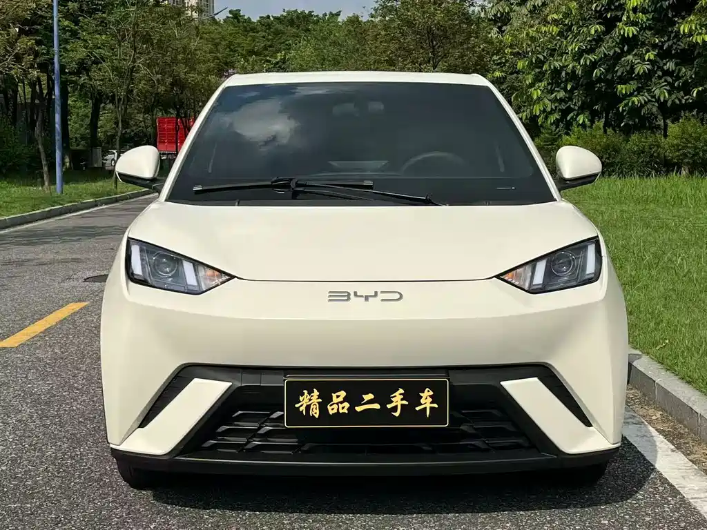 BYD Seagull 2024