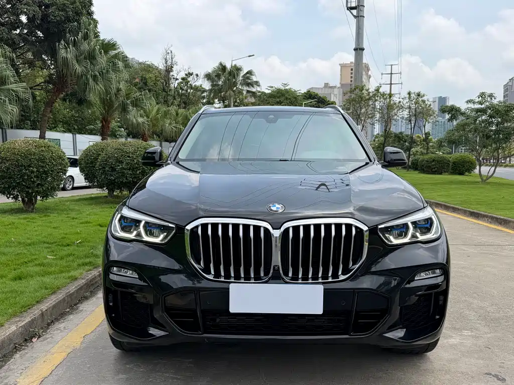 BMW X5 2019 — фото 2