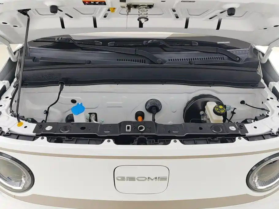 Geely Galaxy Panda 2023 — фото 10