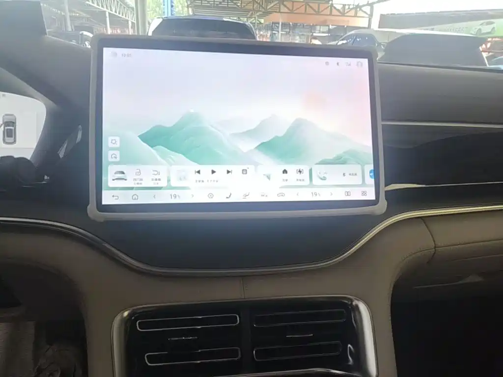 BYD PLUS New Energy 2025 — фото 13