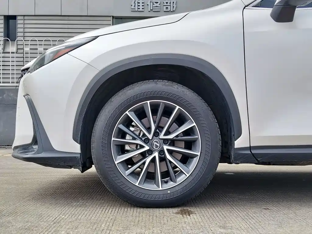 Lexus NX 2024 — фото 16